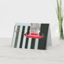 Buscar colibríes tarjetas General y unisex