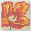 Buscar tulipanes posavasos Tulipán