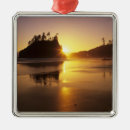 Buscar olympic adornos Playa