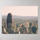 Buscar desiertos posters Cactus