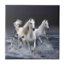 Buscar caballo blanco azulejos Caballos salvajes
