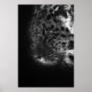 Buscar jaguar salvaje posters Panadería