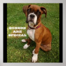 Buscar a cuadros posters General y unisex