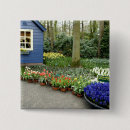 Buscar países bajos chapas Europa