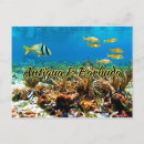 Buscar antigua y barbuda postales Mar