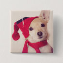 Buscar casquillo chapas Animal