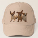 Buscar chihuahua gorras Perrito