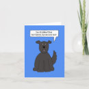 Buscar perro nacional tarjetas Para todos
