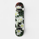 Buscar planos tablas de skate Color