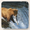 Buscar garras de oso posavasos 2 º garra