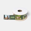 Buscar caballo cintas Lindo