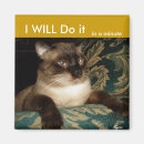 Buscar gatos siameses imanes Gato siamés