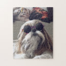 Buscar gafas de sol puzzles Lindo