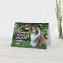 Buscar mascota enfermo tarjetas Animales