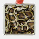Buscar escamas adornos Reptiles