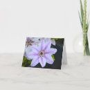 Buscar pasión tarjetas Flor de pasión