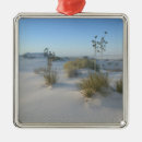 Buscar arbustos adornos Naturaleza