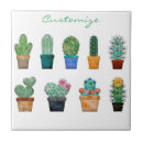 Buscar macetas azulejos Cactus