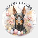 Buscar doberman postales Flores