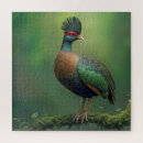 Buscar perdiz puzzles Pájaro