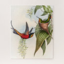 Buscar pájaros tropicales puzzles Rojo