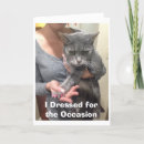 Buscar gato memes postales Cumpleaños