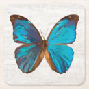 Buscar tropical mariposas Para todos