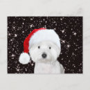 Buscar westies postales Navidad