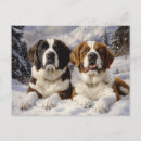 Buscar saint bernard postales Bernhardiner