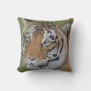 Buscar imagen del gato cojines General y unisex
