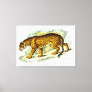 Buscar jaguar animal lienzos Naturaleza
