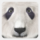 Buscar oso panda pegatinas Lindo
