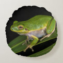 Buscar simone cojines Danita delimont