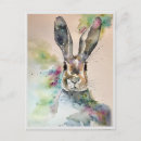 Buscar primavera postales Color