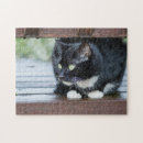 Buscar gato blanco y negro puzzles Animal