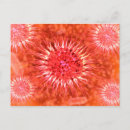 Buscar microbiología postales Medicina