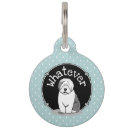Buscar gracias mascotas Perro