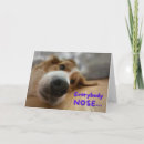 Buscar nariz de perro tarjetas Adorable