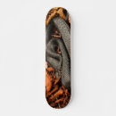 Buscar serpiente comp tablas de skate Negro