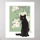 Buscar fluer Negro