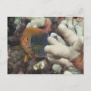 Buscar submarino postales Naturaleza