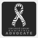 Buscar cebras manualidades Conciencia