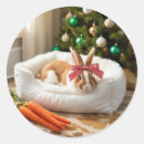 Buscar conejito de la navidad pegatinas Verde