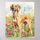 Buscar del saluki Para mascotas