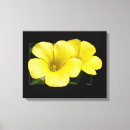 Buscar amarillo lienzos Negro