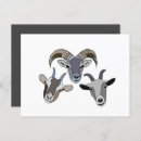 Buscar cabras divertidas postales Para ella