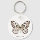 Buscar mariposa marrón pins Animales