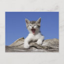 Buscar bostezo postales Horizontal
