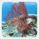 Buscar sealife pegatinas Subacuático