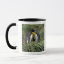 Buscar pingüino de rey tazas Animales